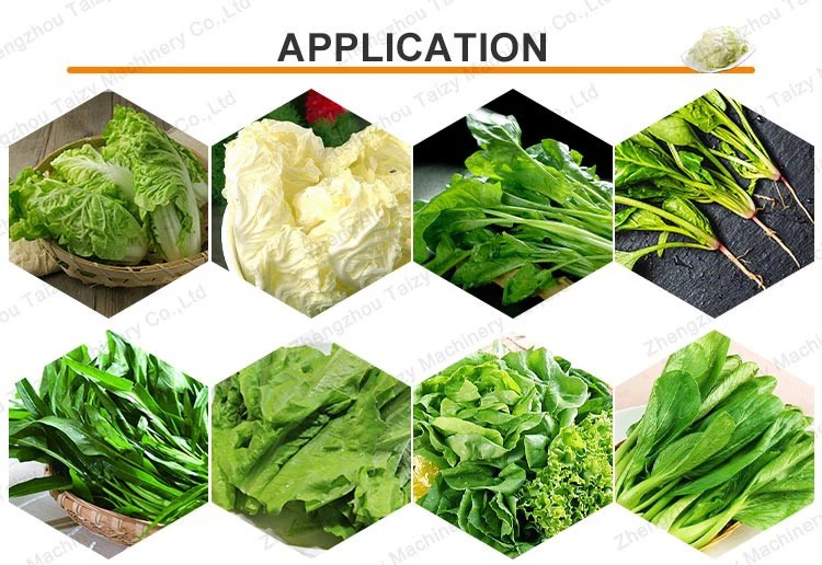 Blanching Machine application Blanching Machine application
