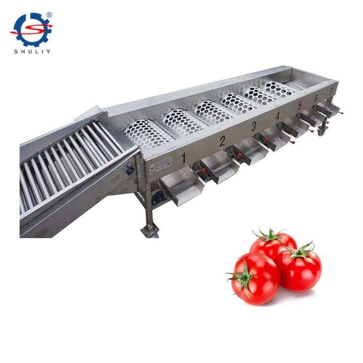 tomato grading machine