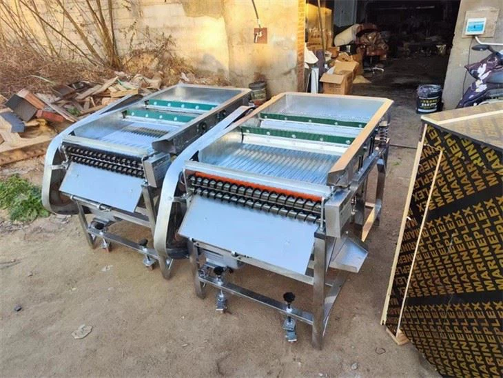 pea shelling machine (2)