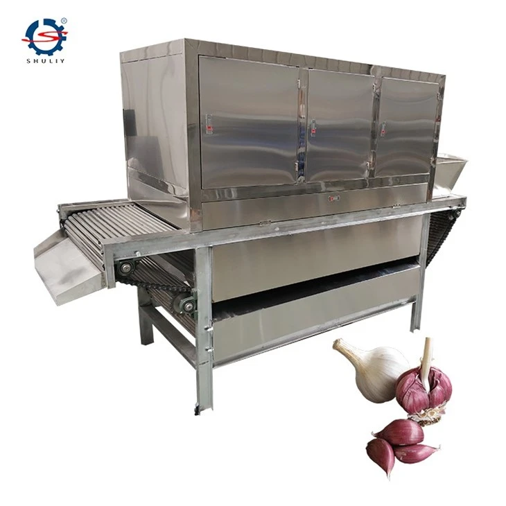 garlic peeling machine (1)
