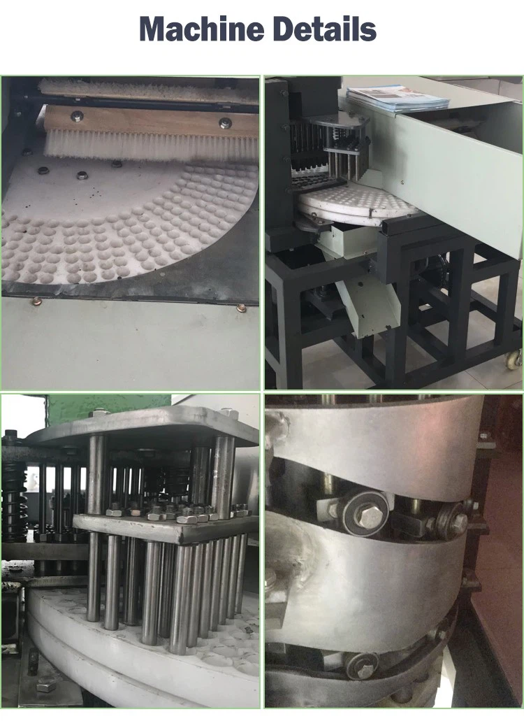 date pitting machine date pitting machine