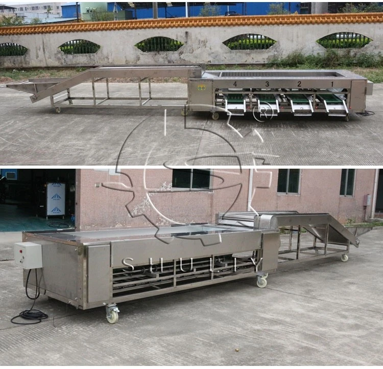 pepper grading machine pepper grading machine