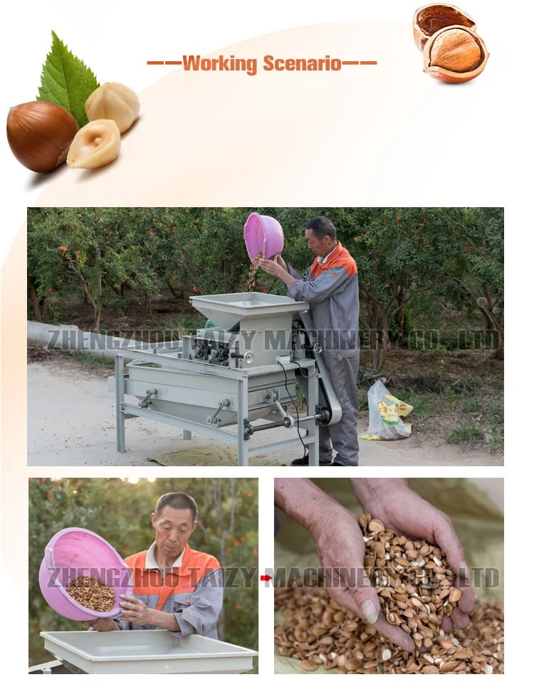 Almond Hazelnut Shelling Peeling Machine Almond Hazelnut Shelling Peeling Machine